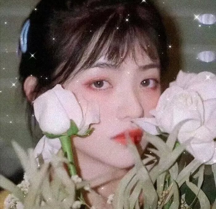 珍妮，日与夜