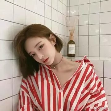 傲骨贤妻第五季